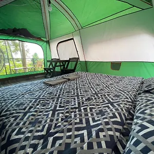 Campsite Joy