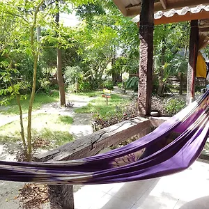 Bamboo - 2* Thong Nai Pan Yai