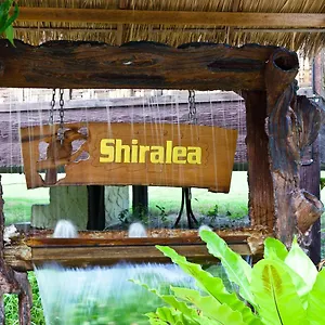 Shiralea Backpackers אתר נופש