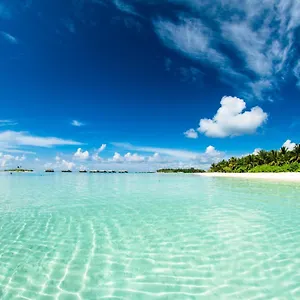 Absolute Beachfront 帕岸岛