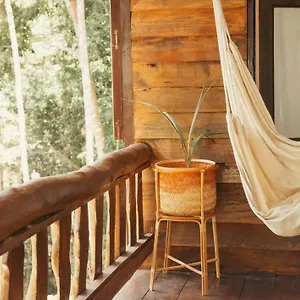 Serene Jungle Retreat: Aum House