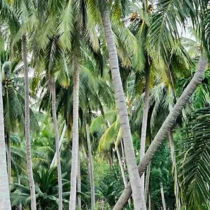 Villa Six Luxury Ko Pha Ngan