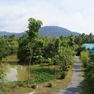 ホテル Phangan Farm 2*