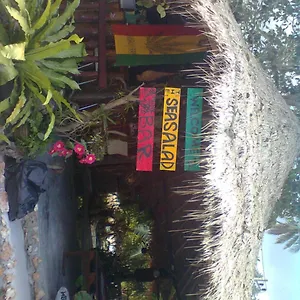 Sea Salad Resort