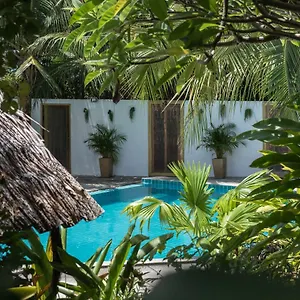 Haven 3*